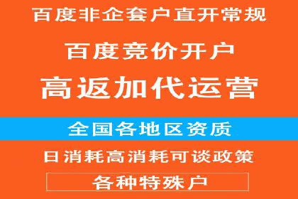 深度解读：百度推广运营的五大成功案例